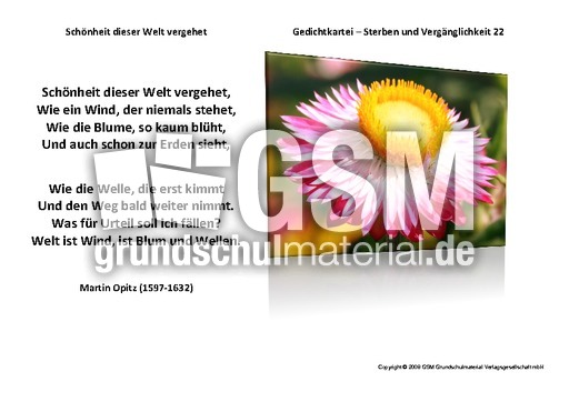 Schönheit-dieser-Welt-vergehet-Opitz.pdf